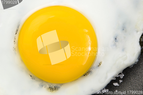 Image of Fried eggs on on a pan