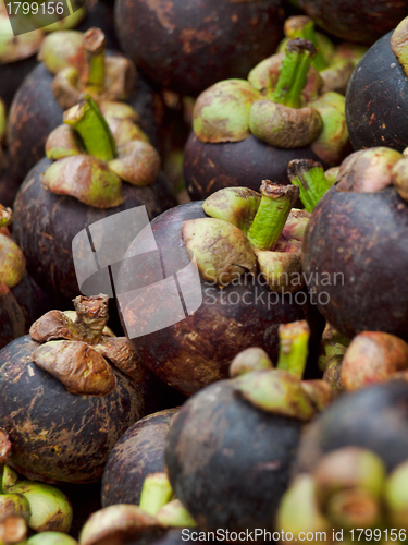 Image of Pile of mangosteen