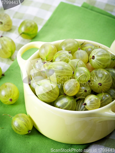 Image of Green gooseberries