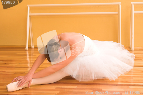 Image of Ballerina #22