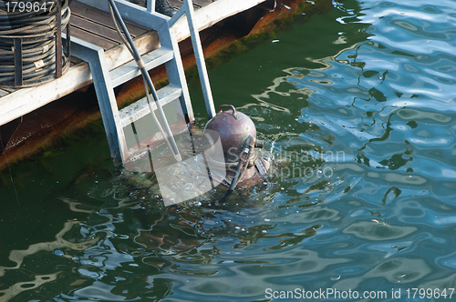 Image of The diver plunges under water