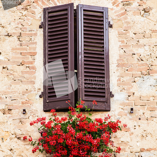 Image of Windows in Tuscany
