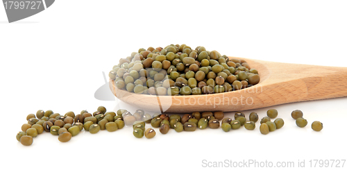 Image of Mung Beans