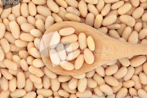 Image of Cannellini Beans