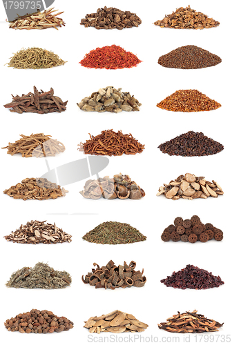 Image of Chinese Herbal Medicine