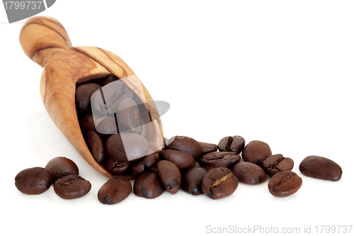 Image of Coffee Beans
