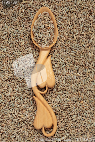 Image of Rye Wheat Grain