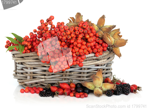 Image of Autumn Harvest