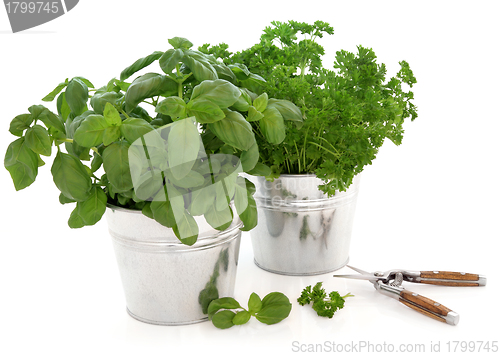 Image of Kitchen Herbs