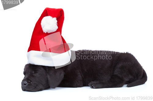 Image of cute little santa