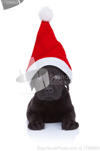 Image of cute little santa