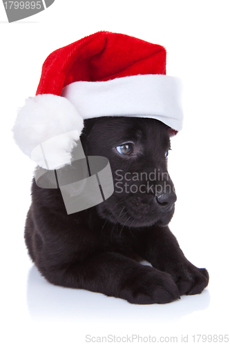 Image of cute little santa