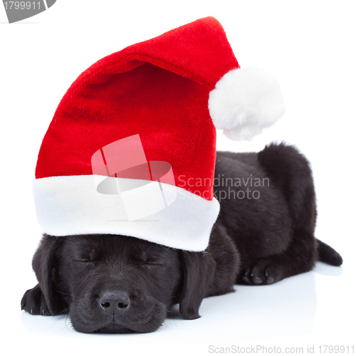 Image of cute little santa 