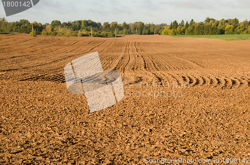 Image of Agriculture plow autumn field. Loam soil prepare 