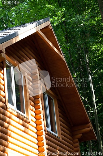 Image of Summer wooden cottage in forest at sunny day