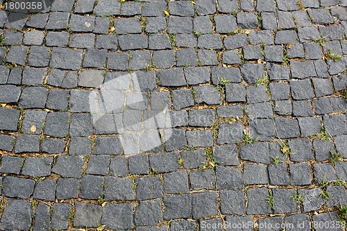 Image of Paving stone