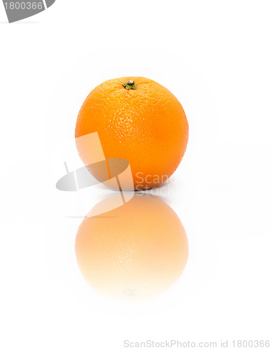 Image of Orange