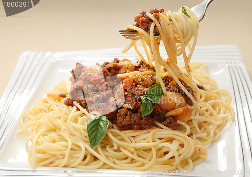 Image of Spaghetti on a fork