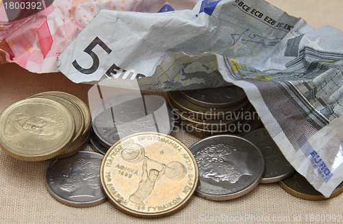 Image of Trashing the euro