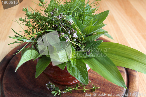 Image of Herbs