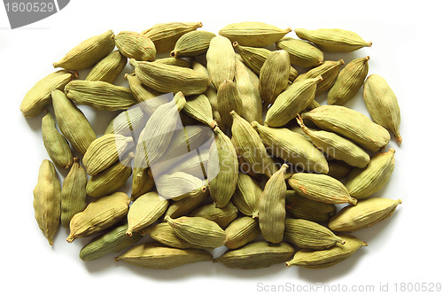 Image of Cardamom