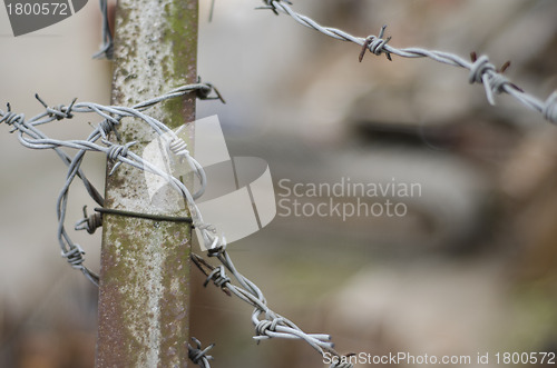 Image of Barbed Wire on Post