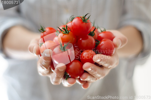 Image of Cherry Tomatoes in Womans Hands