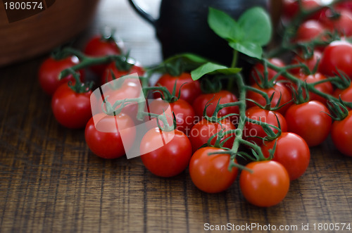 Image of Cherry Tomatoes on Stalks