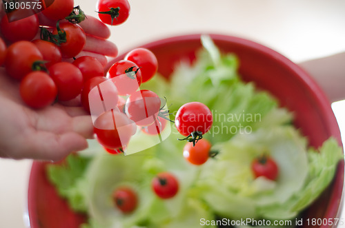 Image of Cherry Tomatoes