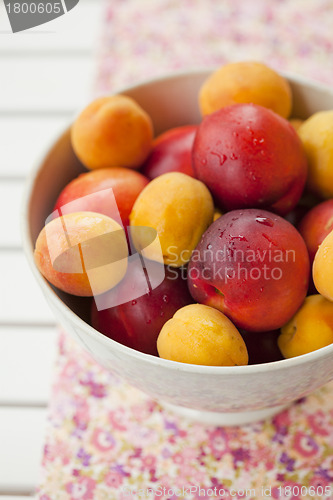 Image of Apricots and nectarines