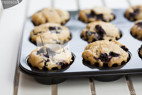Image of Blueberry muffins