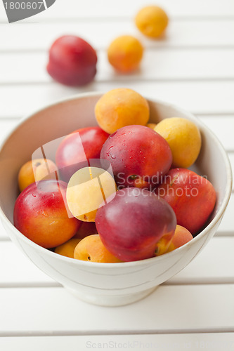 Image of Apricots and nectarines