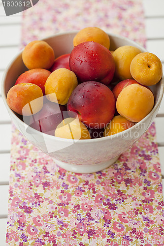 Image of Apricots and nectarines