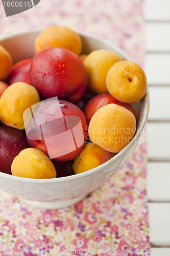 Image of Apricots and nectarines