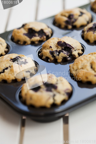 Image of Blueberry muffins