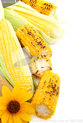 Image of Flower,grilled corn and fresh cobs with green leaves