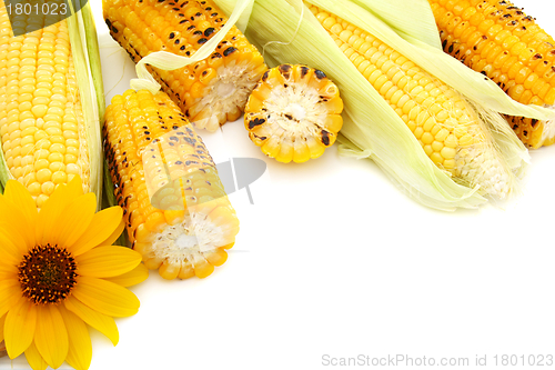 Image of Fresh cobs with green leaves and grilled corn.