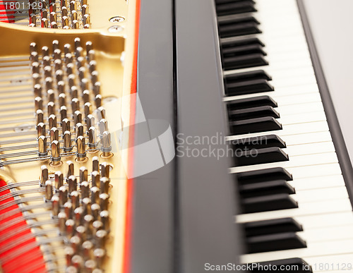 Image of Interior of grand piano with keys
