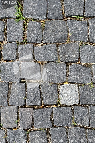 Image of Paving stone