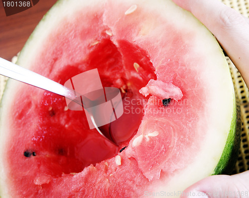 Image of Watermelon