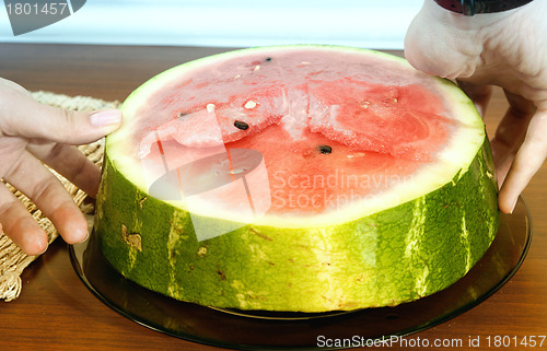 Image of Watermelon