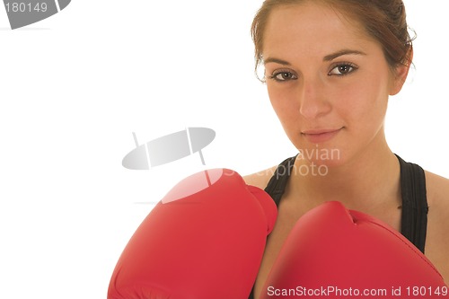 Image of Boxer #06