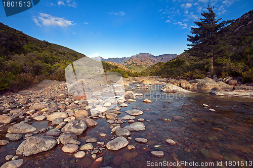 Image of River in Corsica