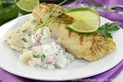 Image of hake fillet