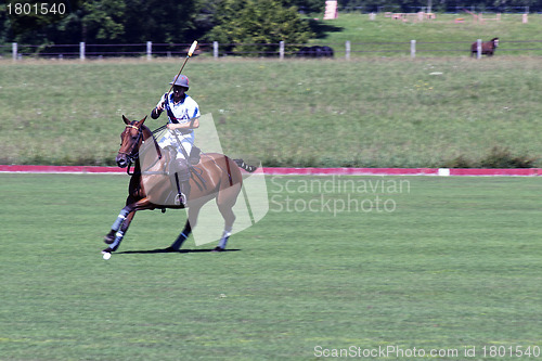 Image of Polo player