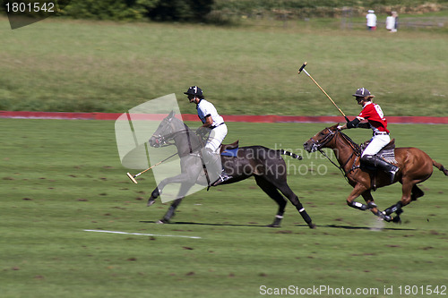 Image of Polo players