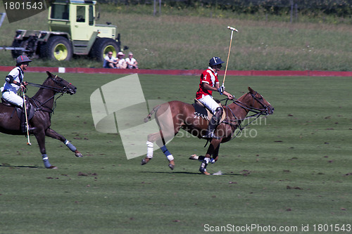 Image of Polo players