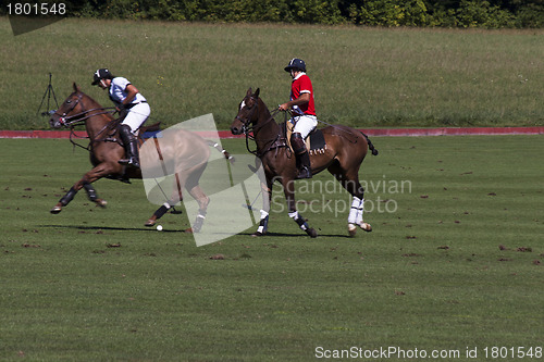 Image of Polo match