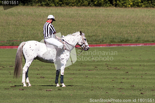 Image of Umpire