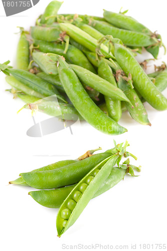 Image of Ripe pea